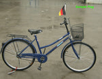 Tampa Bay Rays MLB Bicycle Bike Handle Flag