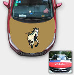 Cal Poly Mustangs NCAA Car Auto Hood Engine Cover Protector