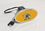 Kent State Golden Flashes NCAA Hitch Cover LED Brake Light for Trailer