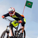 Minnesota Wild NHL Bicycle Bike Rear Wheel Flag