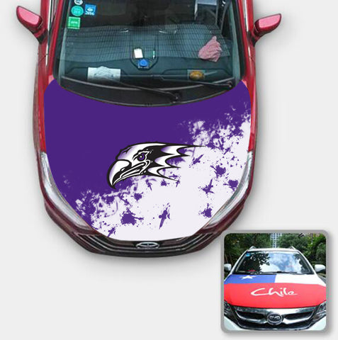 Niagara Purple Eagles NCAA Car Auto Hood Engine Cover Protector