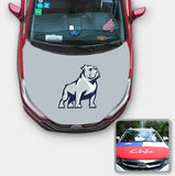 Samford Bulldogs NCAA Car Auto Hood Engine Cover Protector