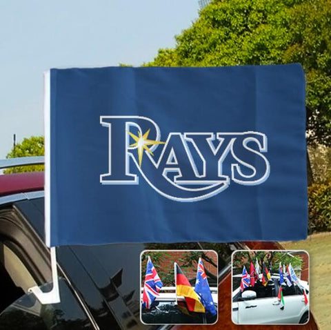 Tampa Bay Rays MLB Car Window Flag