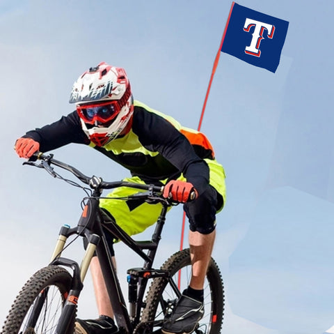 Texas Rangers MLB Bicycle Bike Rear Wheel Flag